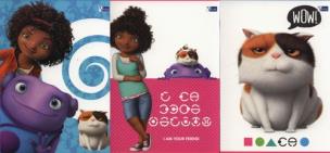 Opakowanie Zeszyt A5 Home w trzy linie 16 kartek 20 sztuk mix