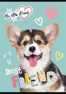 Opakowanie Zeszyt A5 w trzy linie 16 kartek My little friend 15 sztuk mix