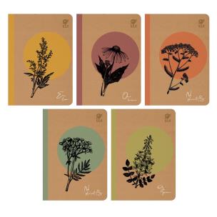 Opakowanie Zeszyt By Nature - One Herb A5 80 KRATKA Z MARGINESEM