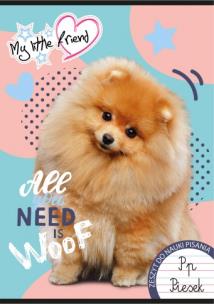 Opakowanie Zeszyt do nauki pisania A4 32k. 3-linia kolorowa my little friend mix. pakiet 15 szt.