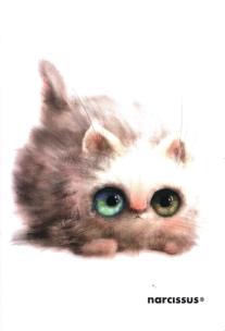 Opakowanie Zeszyt PP Fun A5 w kratkę 60 kartek 9 sztuk