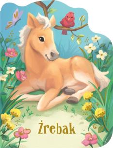 Okładka książki Źrebak