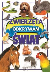 Zwierzęta. Autor: Joanna Werner. Multiszop.pl Okładka książki Zwierzęta