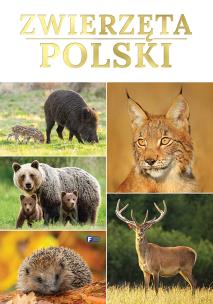Zwierzęta Polski. Autor:   Praca zbiorowa. Multiszop.pl Okładka książki Zwierzęta Polski