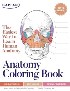Opakowanie Anatomy Coloring Book