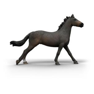 Opakowanie Angielska klacz rasy pełnej krwi