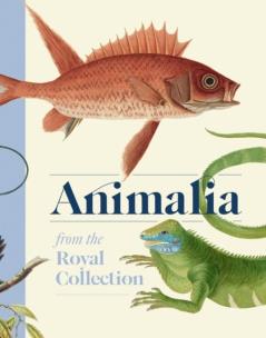 Animalia wer. angielska. Autor: Andrew Brown. Multiszop.pl Okładka książki Animalia wer. angielska