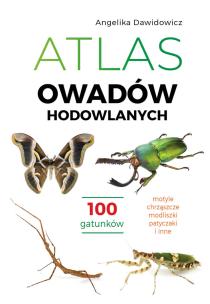 Atlas owadów hodowlanych. 100 gatunków. Autor: Angelika Dawidowicz. Multiszop.pl Okładka książki Atlas owadów hodowlanych. 100 gatunków