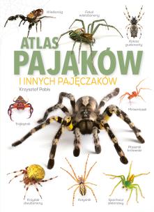 Okładka książki Atlas Pająków