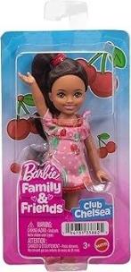 Opakowanie Barbie Family & Friends Doll