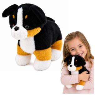 Opakowanie Berneńczyk pluszowy 30cm
