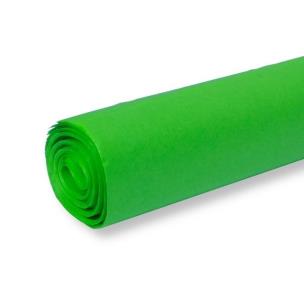 Opakowanie Bibuła kolorowa gładka zielona 50x70cm 30ar
