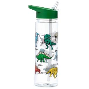 Opakowanie Butelka ze słomką Dinosauria 550ml