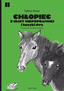 Chłopiec z ulicy Niepoprawnej i kucyki dwa. Autor: Sylwia Stano. Multiszop.pl Okładka książki Chłopiec z ulicy Niepoprawnej i kucyki dwa