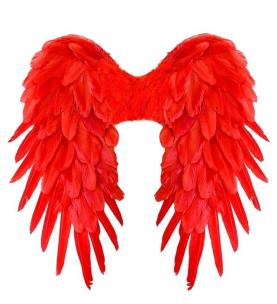 Opakowanie Czerwone skrzydła naturalne pióra