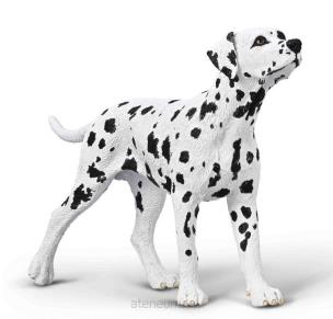 Opakowanie Dalmatyńczyk