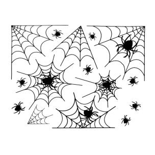 Dekoracja elektrostatyczna pajęczyna. Wydawca: ARPEX. Multiszop.pl Opakowanie Dekoracja elektrostatyczna pajęczyna