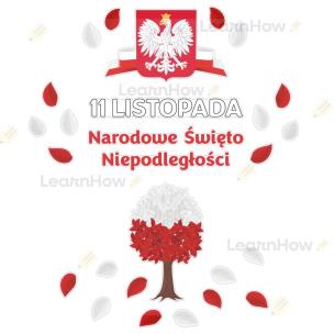 Opakowanie Dekoracja patriotyczna Narodowe Święto...XL