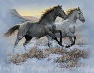 Opakowanie Diamentowa Mozaika Konie czarny i biały galopujące przez step NO-2000645