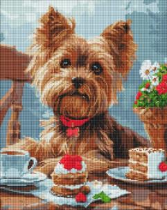 Opakowanie Diamentowa mozaika - Podwieczorek z yorkiem 40x50