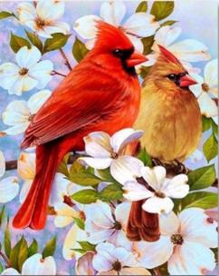 Opakowanie Diamentowa Mozaika Ptaki wśród kwiatów NO-1009540