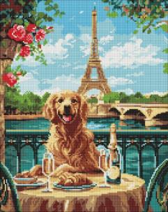 Opakowanie Diamentowa mozaika - Retriever w Paryżu 40x50cm