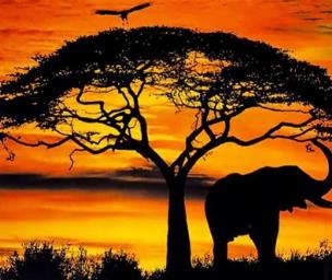 Opakowanie Diamentowa Mozaika Słoń zachód słońca NO-1004944