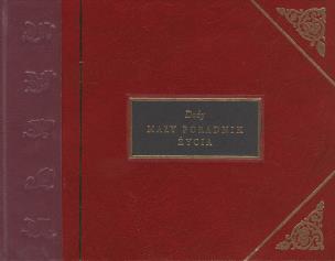 Okładka książki Duży mały poradnik życia