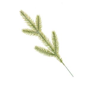 Opakowanie Gałązka do stroików