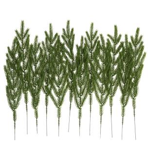 Opakowanie Gałązki cedru 35cm 12szt