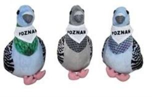 Opakowanie Gołąb ''Poznań'' 22cm MIX