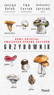 Grzybownik. Autor: Justyn Kołek, Furtak Ewa, Jarczok Aleksandra. Multiszop.pl Okładka książki Grzybownik