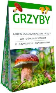 Okładka książki Grzyby. Poręczny, laminowany miniprzewodnik