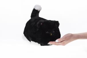 Interaktywny Kot Huggy Luv czarny DKO0222. Wydawca: TM Toys. Multiszop.pl Opakowanie Interaktywny Kot Huggy Luv czarny DKO0222