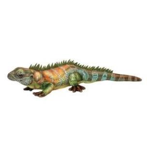 Opakowanie Jaszczurka zielono pomarańczowa 50cm