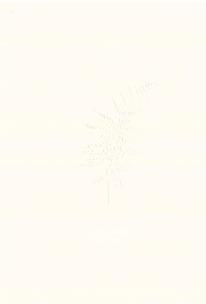 Okładka książki Kalcyt