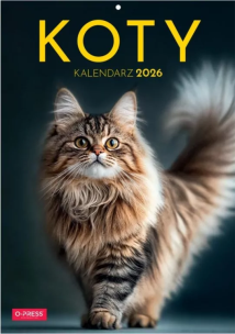 Kalendarz 2026 A4 Wieloplanszowy Koty. Wydawca: O-press. Multiszop.pl Opakowanie Kalendarz 2026 A4 Wieloplanszowy Koty