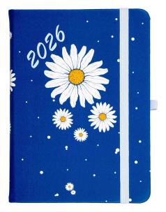 Opakowanie Kalendarz 2026 B6 tyg. Hip Hop stokrotka-granatowa