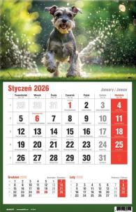 Opakowanie Kalendarz 2026 jednodzielny MIX
