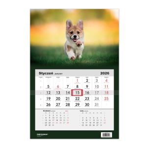 Opakowanie Kalendarz 2026 jednodzielny Pies Corgi HELMA