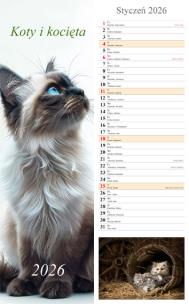Kalendarz 2026 paskowy Koty. Wydawca: Radwan. Multiszop.pl Opakowanie Kalendarz 2026 paskowy Koty