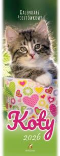 Opakowanie Kalendarz 2026 pocztówkowy 12,5x33cm Koty