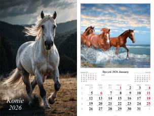 Kalendarz 2026 ścienny 13-k Konie. Wydawca: Radwan. Multiszop.pl Opakowanie Kalendarz 2026 ścienny 13-k Konie