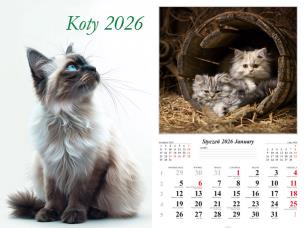 Kalendarz 2026 ścienny 13-k Koty. Wydawca: Radwan. Multiszop.pl Opakowanie Kalendarz 2026 ścienny 13-k Koty