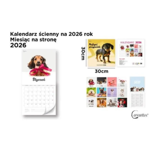 Opakowanie Kalendarz 2026 ścienny 30x30cm Psy
