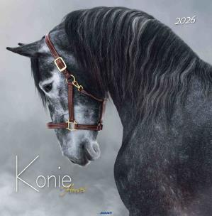 Opakowanie Kalendarz 2026 ścienny 32x32cm Konie