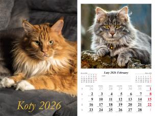 Kalendarz 2026 ścienny 7-k Koty. Wydawca: Radwan. Multiszop.pl Opakowanie Kalendarz 2026 ścienny 7-k Koty