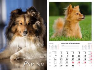 Kalendarz 2026 ścienny 7-k Psy. Wydawca: Radwan. Multiszop.pl Opakowanie Kalendarz 2026 ścienny 7-k Psy