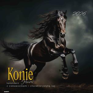 Opakowanie Kalendarz 2026 ścienny albumowy 30x30cm Konie