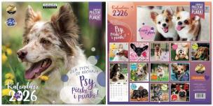 Opakowanie Kalendarz 2026 ścienny Classic Psy